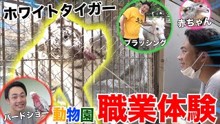 【職業体験】動物園の飼育員になって赤ちゃんに会って日本初の体験をしました！