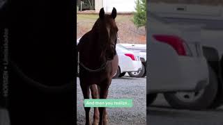 His face says it all 😂😂 Best Animals compilation 2021| #shorts | Top Viral Animal Videos