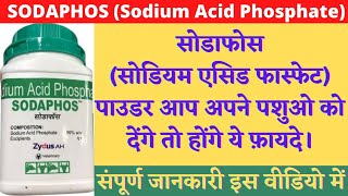 sodaphos powder veterinary uses in hindi | sodaphos powder veterinary uses | sodium acid phosphate.