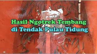 IKAN TEMBANG BANYAK DI SPOT INI, TENDAK PULAU TIDUNG BAGIAN UTARA