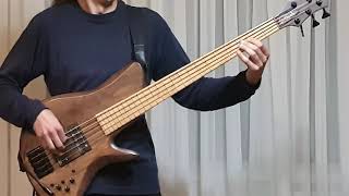 Daft Punk - Voyager [Bass Cover]