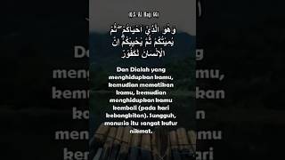 Surat Al Hajj 65-66: Manusia Sangat Kufur Nikmat | Petikan Ayat Al Quran