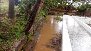 you can't believe this !!!!! our fish pond 😭😭@iammarwa