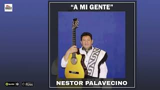 Néstor Palavecino. A mi gente