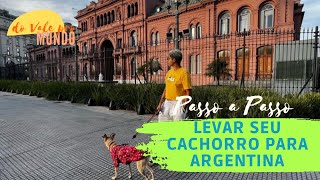 GUIA COMPLETO: Como trazer seu Cachorro para a Argentina - CVI Passo a Passo!