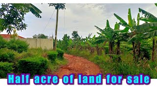 Half acre of land for sale in gayaza