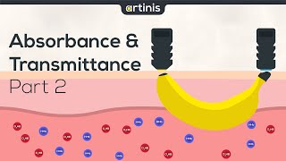 NIRS explained: Absorbance & Transmittance (Part 2/2)