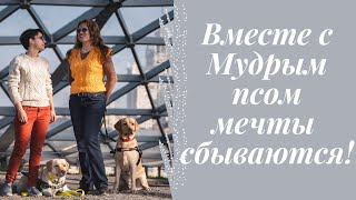 Вместе с "Мудрым псом" мечты сбываются! // Собаки-проводники