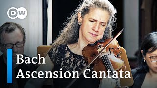 Bach Cantata: He who believes and is baptized | Ton Koopman, Amsterdam Baroque Orchestra & Choir