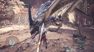 MHW 風飄龍 - 練習競技場抓寶