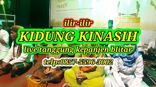 Kidung Kinasih||ilir-ilir||live tanggung kepanjen blitar