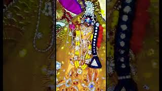 Radharani Basant Panchami Shringar #shorts #youtubeshorts #trendingshorts