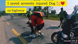 Saving injured dog on Highway Nepal 🐕❤️ | Humanity | Dog lovers