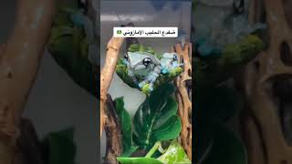 أشياء لم تراها من قبل ونادر رؤيتها.👆🏼