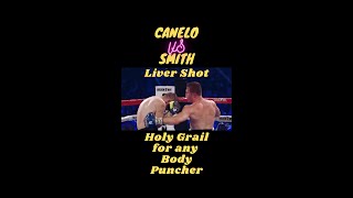 Liver Shot: Holy Grail for any Body Puncher: Canelo vs Liam Smith #shorts