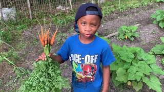 We have carrots...and it didn’t take 2 years! 🤣