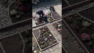 Built a bird shape flower patch for our beloved birds. #garden #flowergarden #gardenideas #asmr