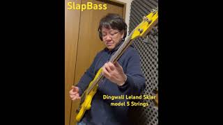 Slap Bass basslines #slapbass #dingwall #basssolo #スラップベース #ベースソロ #bassguitar #bassman