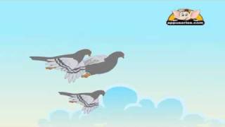 Animal Sounds in Marathi - Pigeon