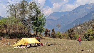 This is Himalayan Sheep Shepherd Life| Organic Shepherd Food cooking & Eating | Shepherd Life |