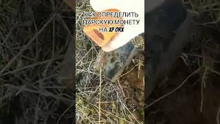 Как определить сигнал царской монеты на XP ORX  #xporx #xpmetaldetecting #xp #поискмонет