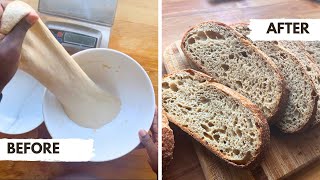 Daily Sourdough Bread with Fresh Milled Flour | Without a mixer