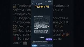 YouNet VPN