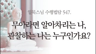 무아라면 알아차리는 나, 관찰하는 나는 누구인가요?ㅣ일묵스님ㅣ제따와나선원 수행법담 547.