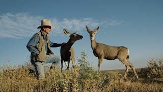 Touching The Wild (Full Documentary)