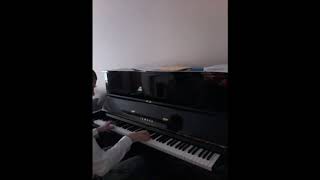 Fur Elise -  Performed By Nick Hill