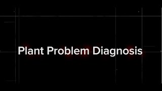 Plant Problem Diagnosis