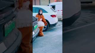 Funny Video l Funny Bear 🐻😂 P1580 #Shorts