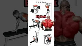 Back Explode exercises