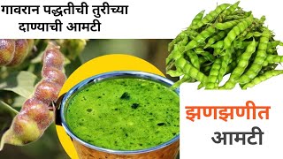 Turichy Danychi Aamthi| गावरान पद्धतीची तुरीच्या शेंगाच्या सोल्याची आमटी |Tasty bites (Mi Nandedkar)