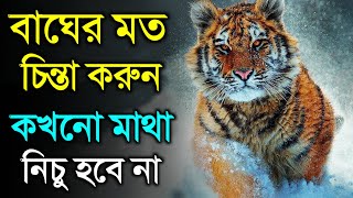 সফল হতে হলে বাঘের মত Attitude তৈরী করুন | The Power Of Tiger Mentality | Tiger Attitude