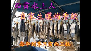 【釣魚佬廚房】《西貢漁民新鮮生曬梅香鮫魚》