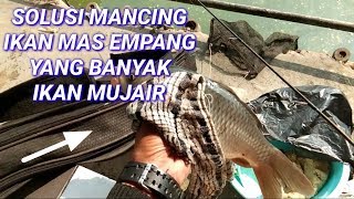 Mancing Ikanmas Galapung UMPAN MUJAIR VLOG #007