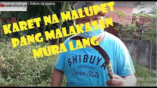 Karet na malupet | Dahon ng saging