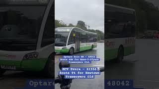 Various Buses - Routes for Newtown and Maes-y-Ffynon