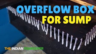 How to make Overflow Box | ओवरफ्लो बॉक्स संप फिल्टर @TheIndianFishkeeper