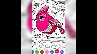 Pert 2. Bird #art #music #holiday #tattoo #film #life #anime #animals #baby #wow #bird