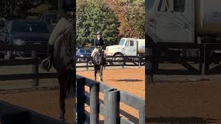 First Impression - 2nd place 2’6” Hunter Derby, GHJA 2023 Finals Horse Show #horse #equestrian