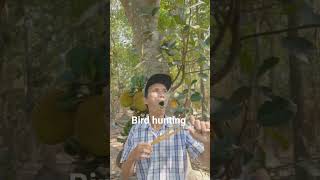 07Hunting Bird's | Amazing nature video | excellent hunter | Hunter of Birds | #viral #shortvideo