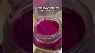 Raw peeled beets into the freeze dryer! Beet powder for gut health and natural food dyes!