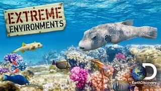 EXTREME ENVIRONMENTS | EP1 | Ocean