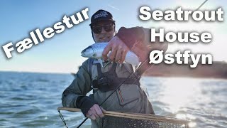 Seatrout House Østfyn 🎣 Fællestur 🐟 Havørred Fiskeri