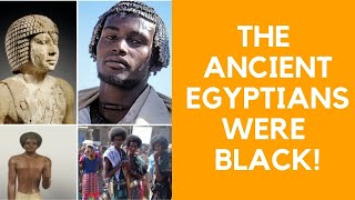 ANCIENT EGYPTIANS WERE BLACK - CHAPTER CLOSED.