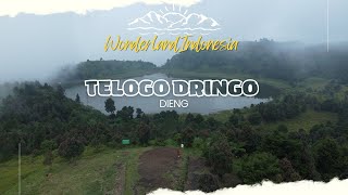 Telaga Dringo Dieng | Telaga tertinggi dijawa 2264mdpl | Wonderland Indonesia