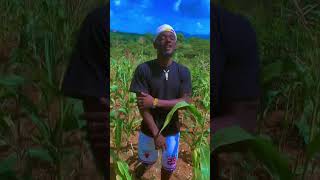 Harmonize-sijui (yupo wapi )