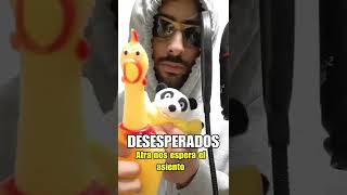 "Desesperados" (por un pollo y panda)